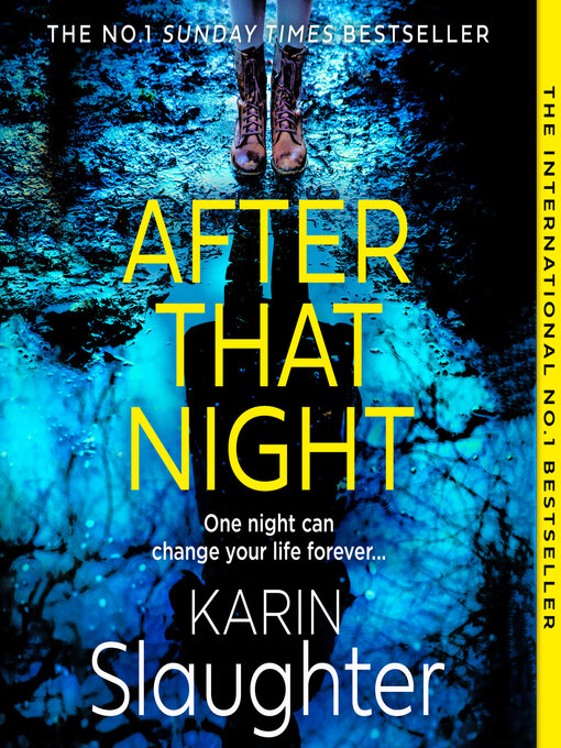 Title details for After That Night by Karin Slaughter - Wait list